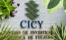 ¿Cómo se estudian las plantas y cuál es su impacto científico en Yucatán? 
