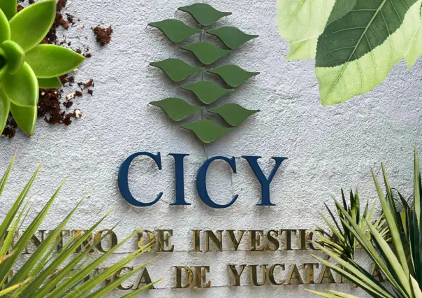 ¿Cómo se estudian las plantas y cuál es su impacto científico en Yucatán? 
