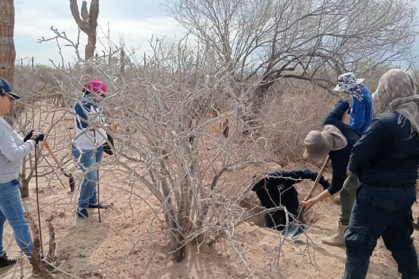 Las fosas fueron ubicadas en una zona con antecedentes de hallazgos similares en años recientes. Foto: Facebook / Búsqueda x La Paz