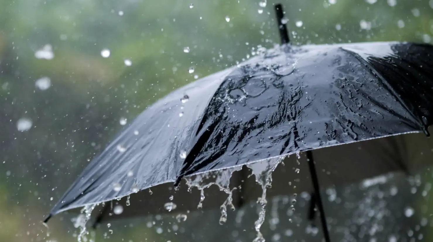 Para el estado de Nuevo León, se espera un patrón de precipitaciones en algunas zonas. Foto: Canva.