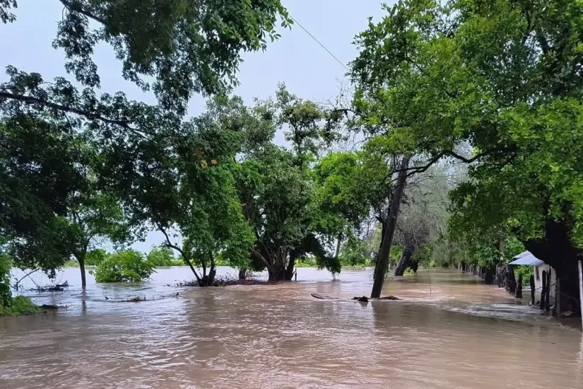 El nivel del sistema lagunario en el sur de Tamaulipas desciende paulatinamente. Foto: Axel Hassel