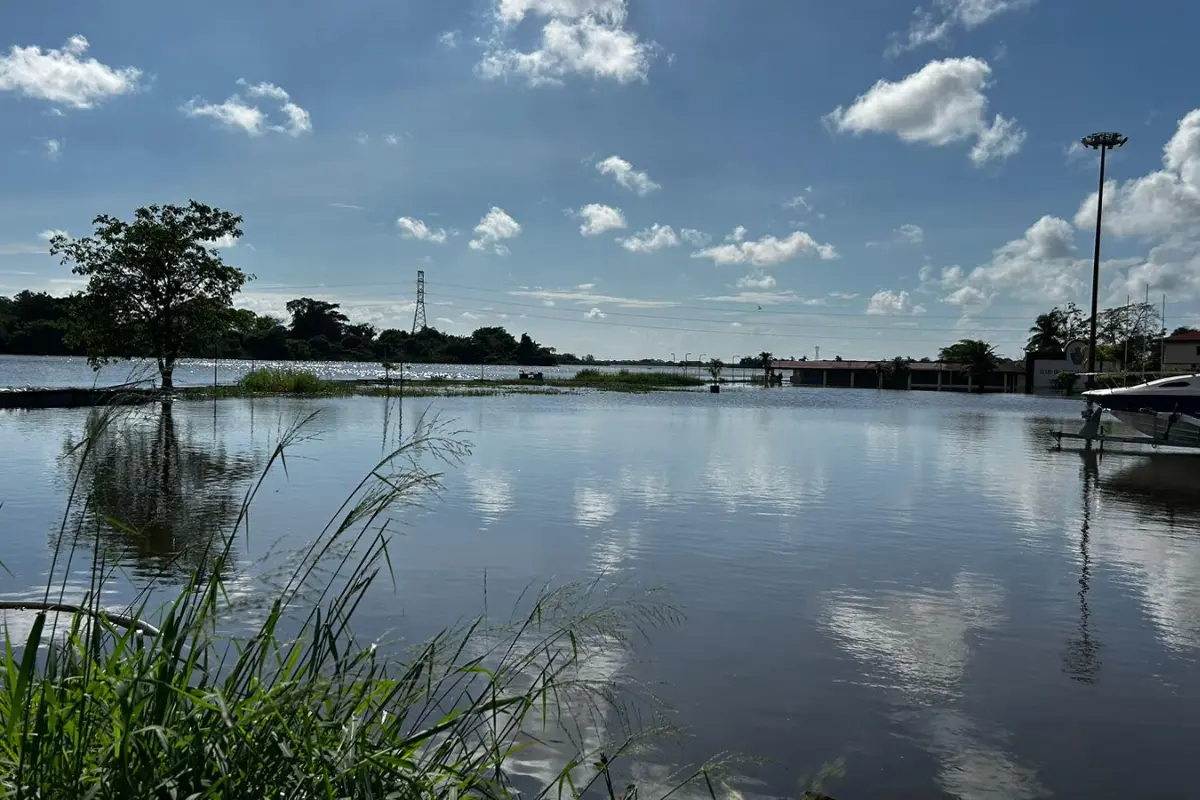 Poco a poco el nivel de las lagunas en el sur de Tamaulipas comienza a descender. Foto: Axel Hassel