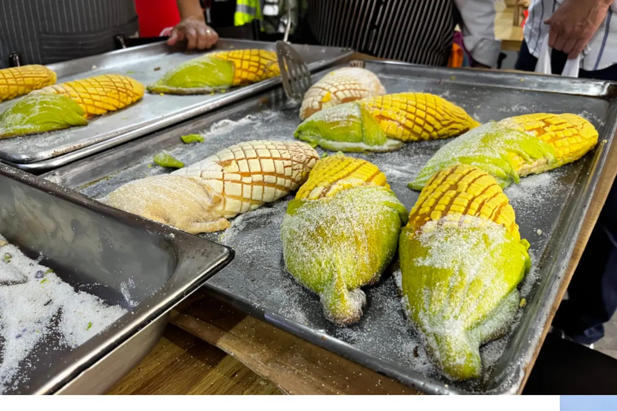 Conchaelotes. Foto: Iván Macías