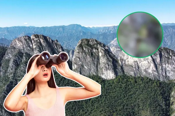 El animal nativo de Nuevo León que solo sobrevive si hay pinos viejos en las sierras