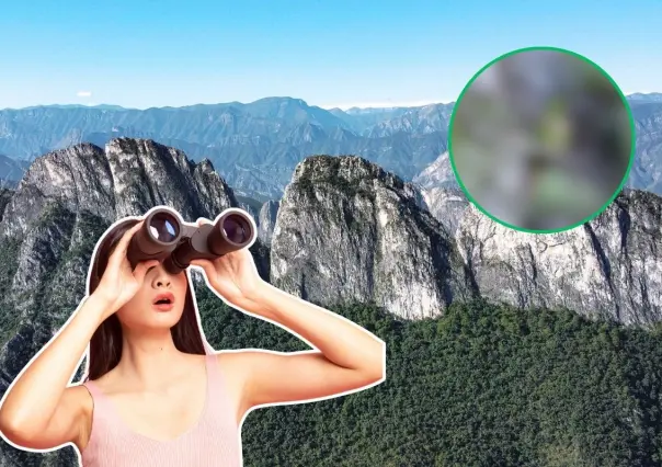 El animal nativo de Nuevo León que solo sobrevive si hay pinos viejos en las sierras