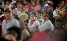 Veracruz perdió 7 mil 134 empleos en 2024, según el IMSS