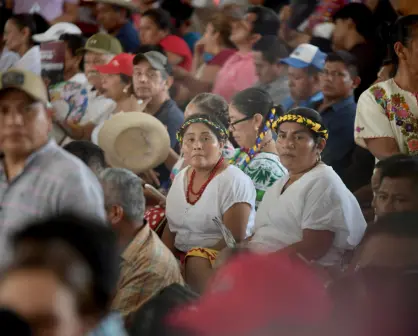 Veracruz perdió 7 mil 134 empleos en 2024, según el IMSS