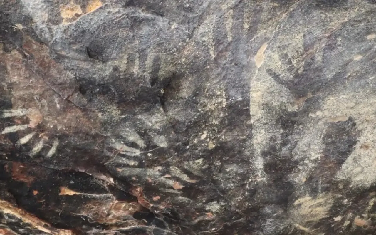 Pinturas rupestres en Tehuacán. Foto: Redes Sociales