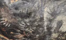 En Tehuacán, Puebla, ubican pinturas rupestres abandonadas, INAH apenas llegará