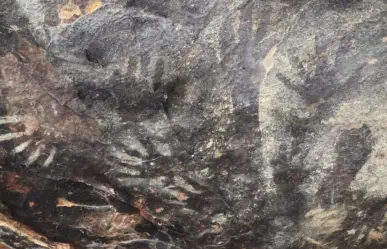 En Tehuacán, Puebla, ubican pinturas rupestres abandonadas, INAH apenas llegará