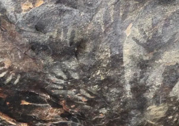 En Tehuacán, Puebla, ubican pinturas rupestres abandonadas, INAH apenas llegará