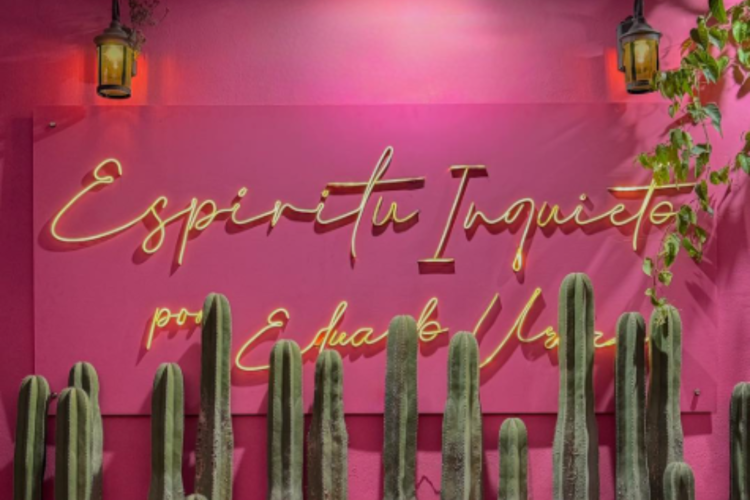 imagen-cuerpo imagen-cuerpo