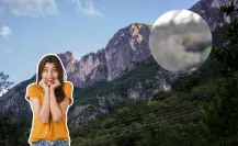 Este animal nativo de Nuevo León puede saltar a grandes metros en vertical