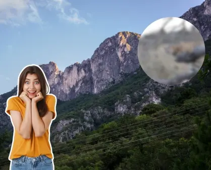 Este animal nativo de Nuevo León puede saltar a grandes metros en vertical