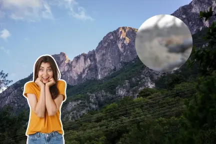 Este animal nativo de Nuevo León puede saltar a grandes metros en vertical Este animal nativo de Nuevo León puede saltar a grandes metros en vertical