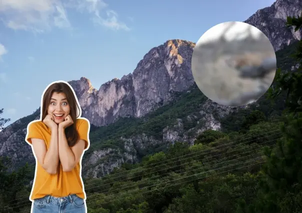 Este animal nativo de Nuevo León puede saltar a grandes metros en vertical