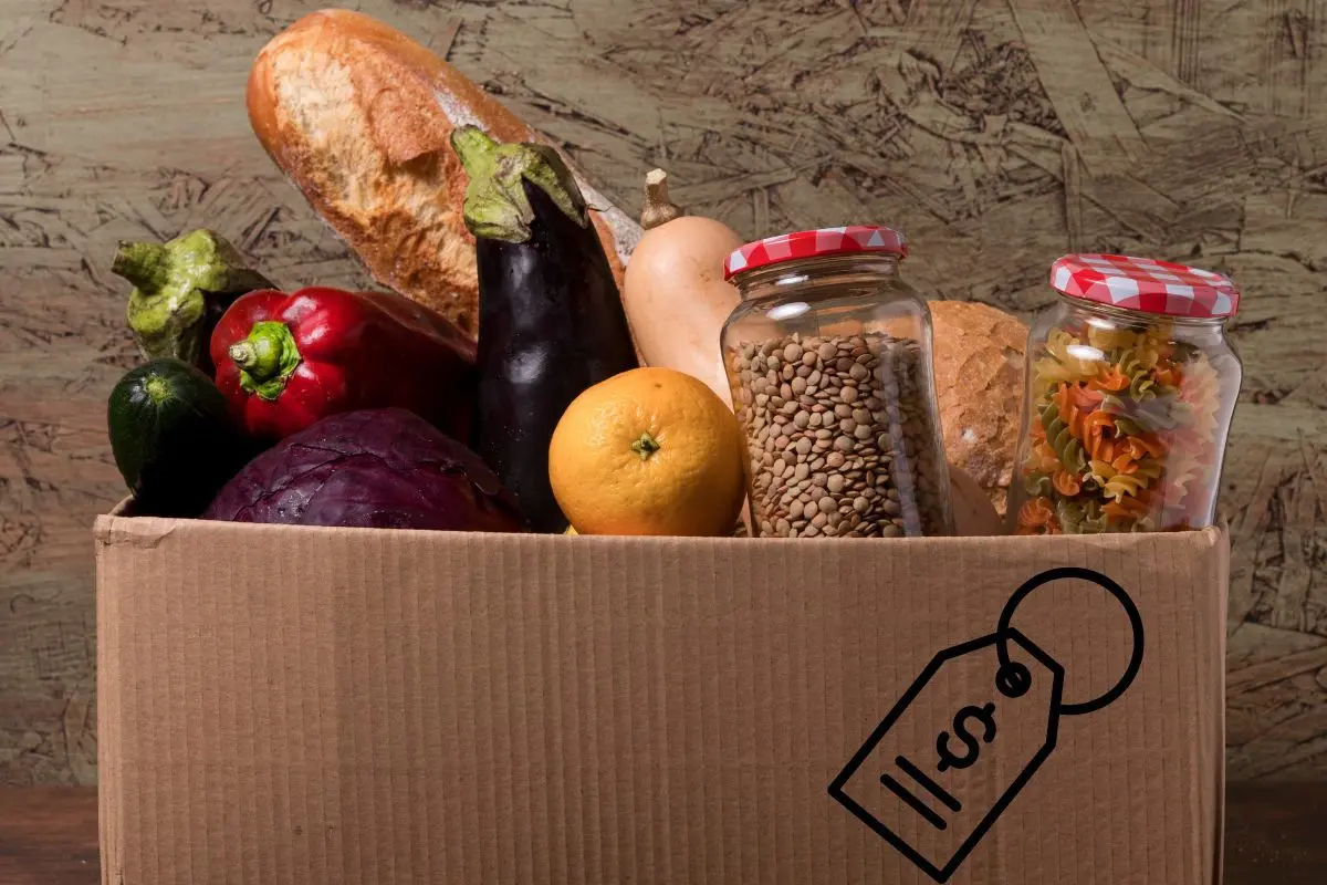 Productos de canasta básica. Foto: Freepick | Canva