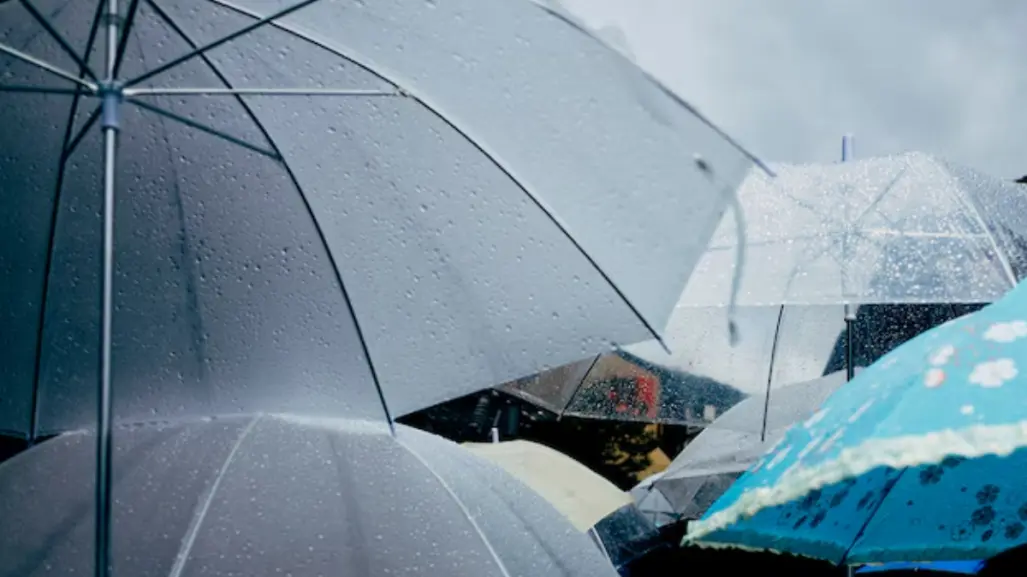 Regresa el pronóstico lluvias para Tamaulipas a partir de este 8 de julio