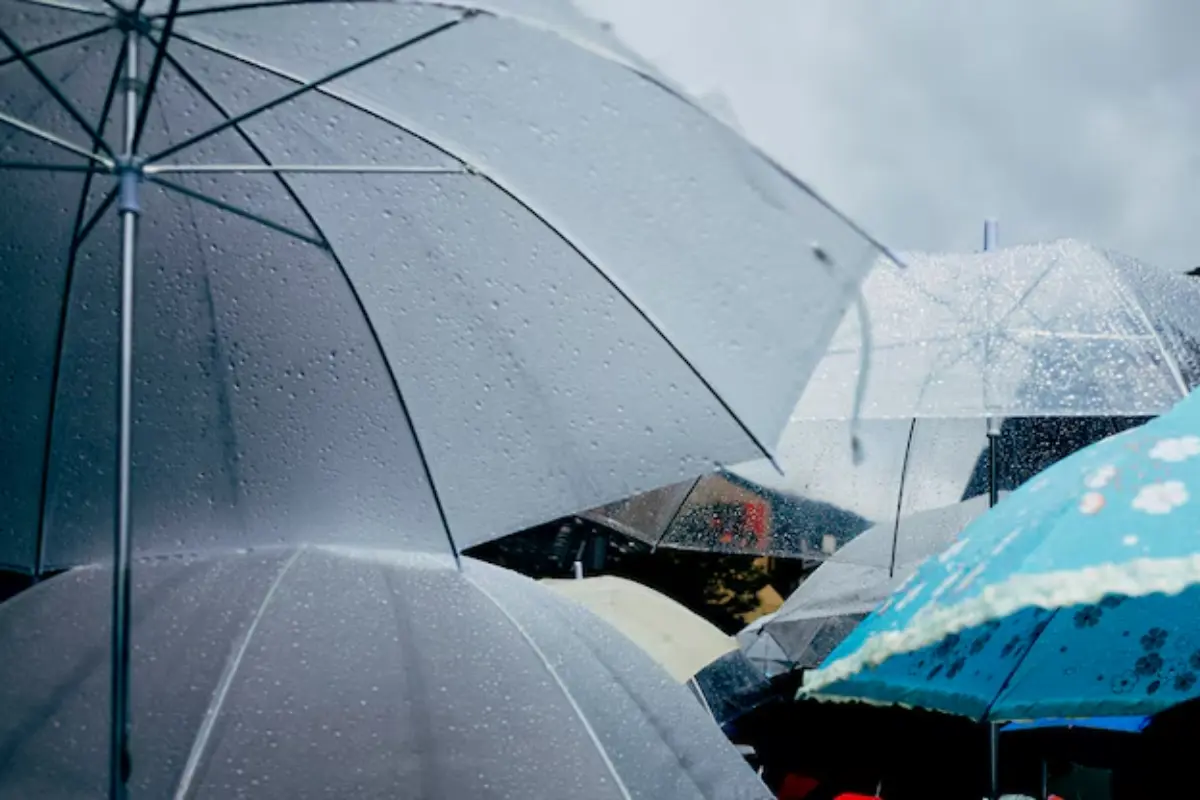 Vuelven las lluvias a Tamaulipas y con ellas el riesgo de inundaciones. Foto: Freepik