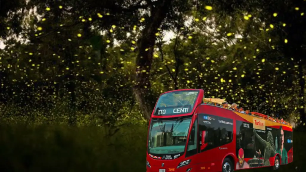 Este tour de CDMX te lleva en Turibús a Tlaxcala para ver luciérnagas; fechas y costos de este viaje