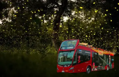 Este tour de CDMX te lleva en Turibús a Tlaxcala para ver luciérnagas; fechas y costos de este viaje
