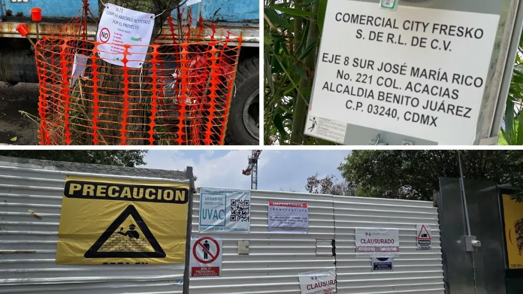 Vecinos de Benito Juárez van contra construcción de supermercado: temen tala masiva