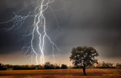 Mueren electrocutados por un rayo en Galeana