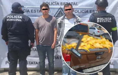 Detienen en Edomex a presuntos extorsionadores de la Familia Michoacana con más de 200 pollos