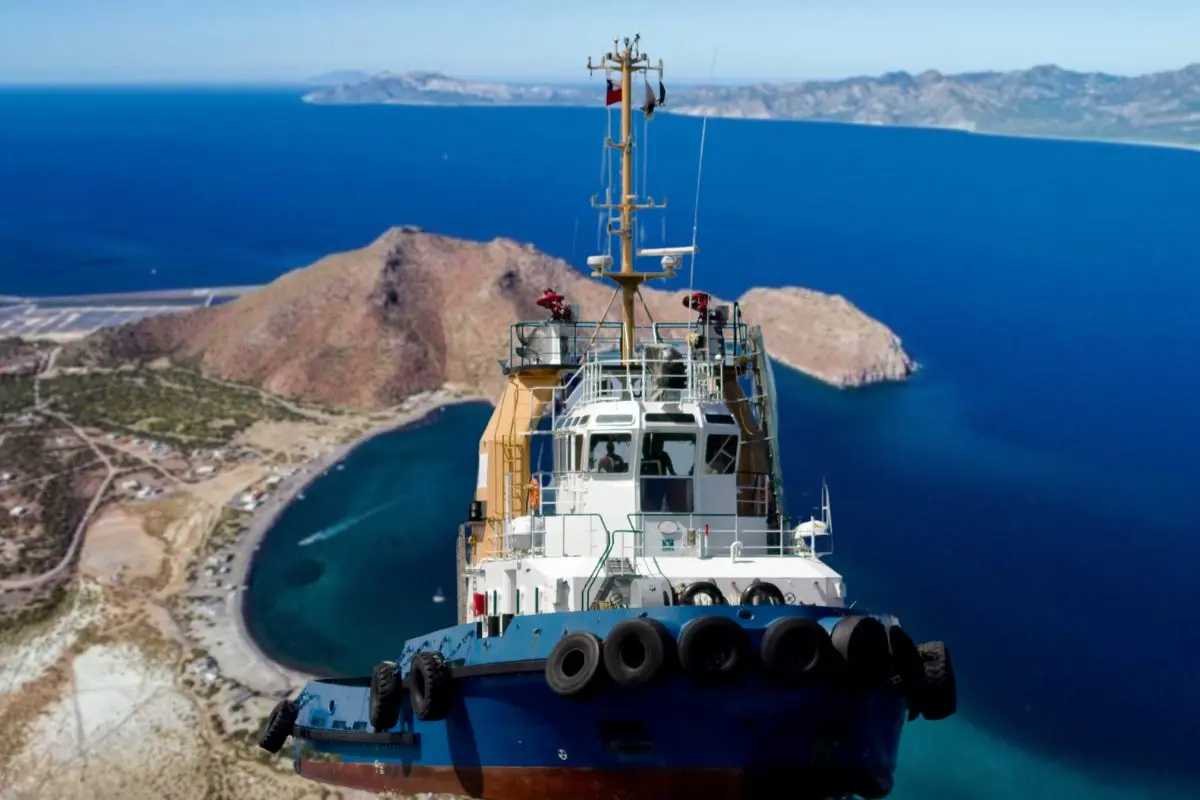 Barcos industriales operan cerca de la costa sudcaliforniana, afectando a especies como tiburones, delfines y aves marinas. Foto: México Desconocido | Foto: Biblioteca Canva