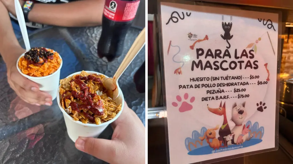 Esta elotería pet friendly en La Paz sorprende con menú especial para mascotas