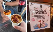 Esta elotería pet friendly en La Paz sorprende con menú especial para mascotas