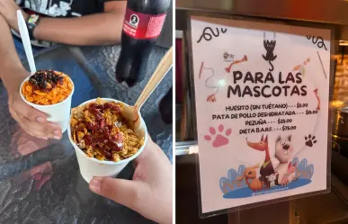 Esta elotería pet friendly en La Paz sorprende con menú especial para mascotas