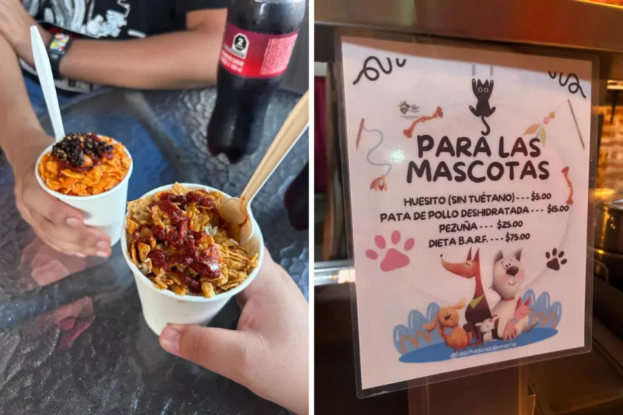 Esta elotería pet friendly en La Paz sorprende con menú especial para mascotas