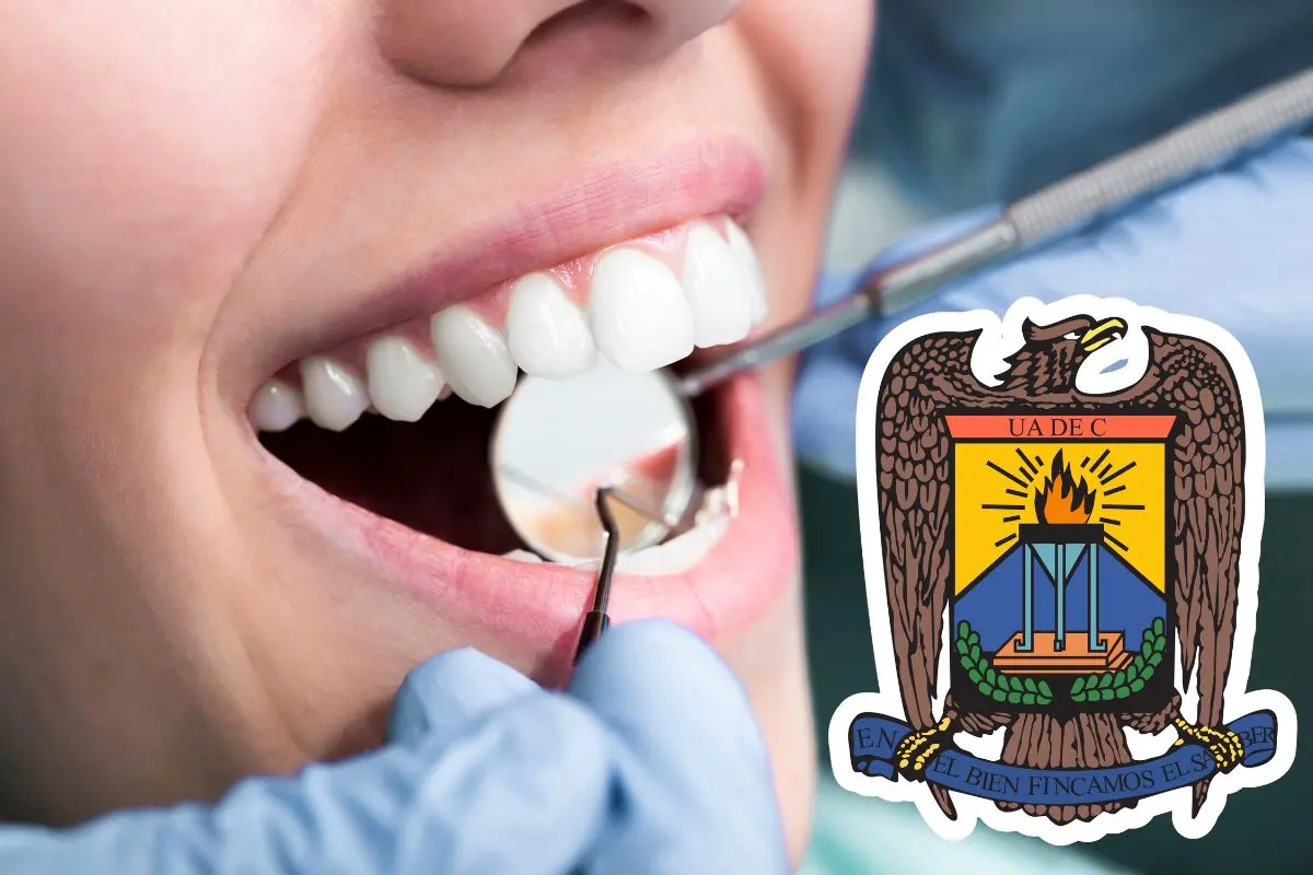 Aseguran atención dental en clínicas de la UAdeC durante el verano / Foto: Canva | UAdeC