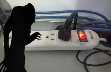 ¿Conoces los vampiros energéticos? Podrías tener varios en casa sin darte cuenta