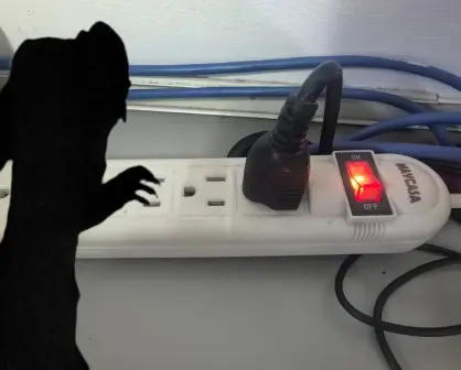 ¿Conoces los vampiros energéticos? Podrías tener varios en casa sin darte cuenta