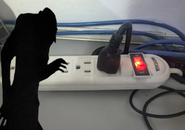 ¿Conoces los vampiros energéticos? Podrías tener varios en casa sin darte cuenta