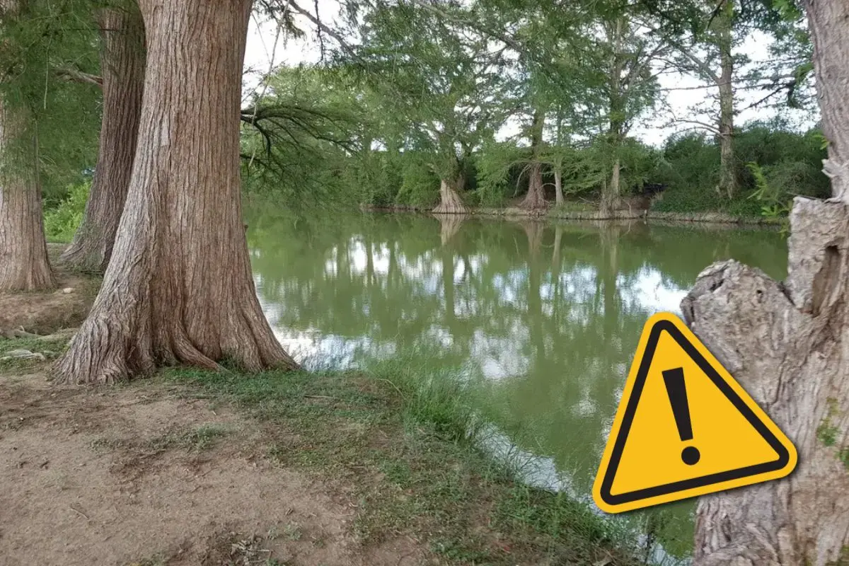 Alerta en el Río Sabinas de Coahuila tras intensas lluvias / Foto: AllTrails | Canva