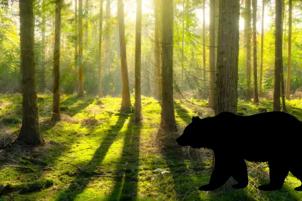 El enorme animal nativo de Durango que el hombre extinguió hace 60 años