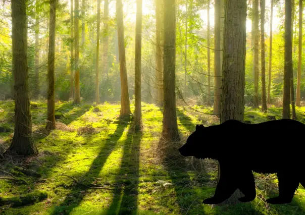 El enorme animal nativo de Durango que el hombre extinguió hace 60 años