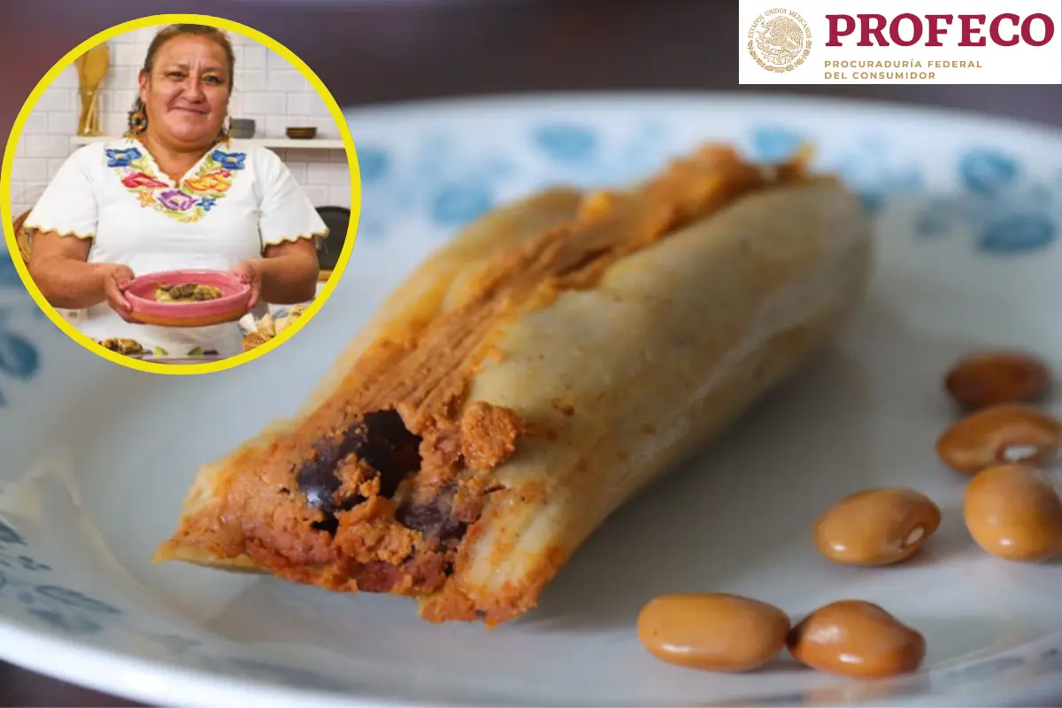 Los acoyotes son frijoles más grandes y que se cultivan en la parte alta del centro de México. Foto: Profeco | Aderezo.mx | Canva