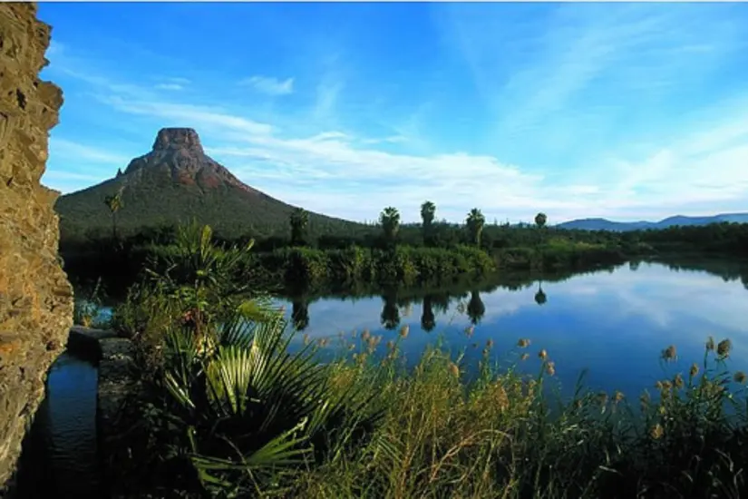 El arroyo de La Purísima fluye todo el año, incluso en temporada de sequía. Foto: Instituto Sudcaliforniano de Cultura (ISC)