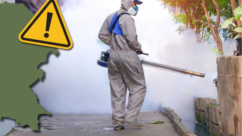 ¿Cómo prevenir el dengue en casa durante las lluvias en Coahuila?