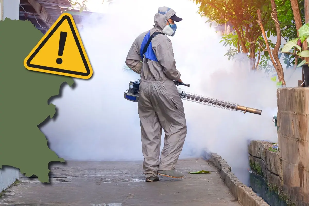Prevención contra el dengue en Coahuila tras intensas lluvias / Foto: Composición de Canva
