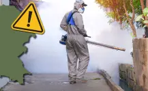¿Cómo prevenir el dengue en casa durante las lluvias en Coahuila?