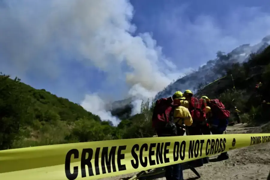 Detienen a adolescente en California por provocar incendio forestal