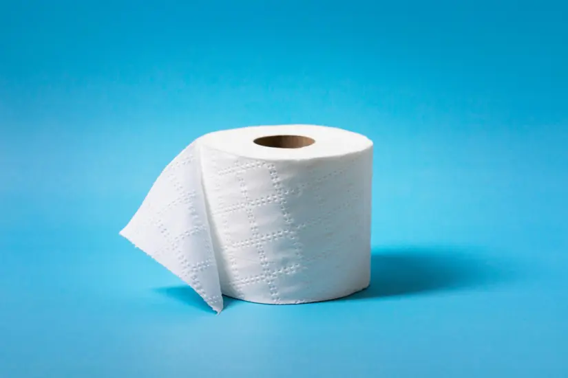 Te presentamos las marcas de papel de baño recomendadas por la Profeco para garantizar tu comodidad y salud. Foto: Canva