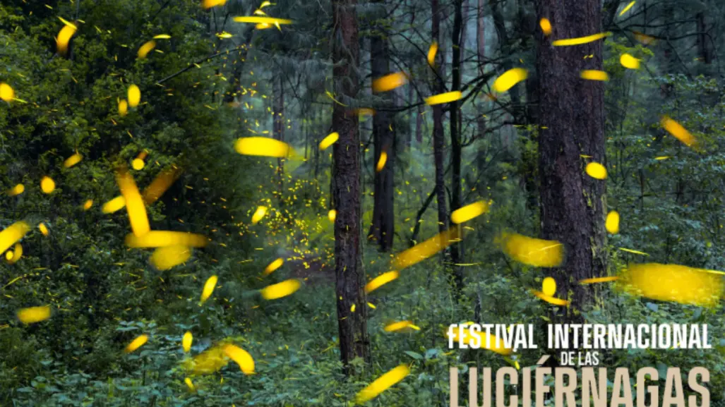 Ixtapaluca se une al Festival de las Luciérnagas 2025: conoce la cartelera completa de actividades