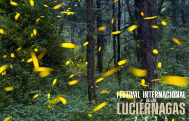 Ixtapaluca se une al Festival de las Luciérnagas 2025: conoce la cartelera completa de actividades