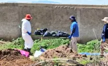 Fosas de Las Agujas, en Jalisco, pueden ser las más grandes en años; suman 215 bolsas con restos